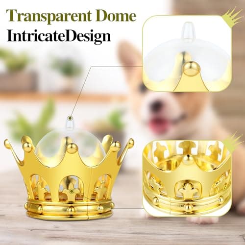 Gold Dome Party Favors for Birthday Graduation Celebrations