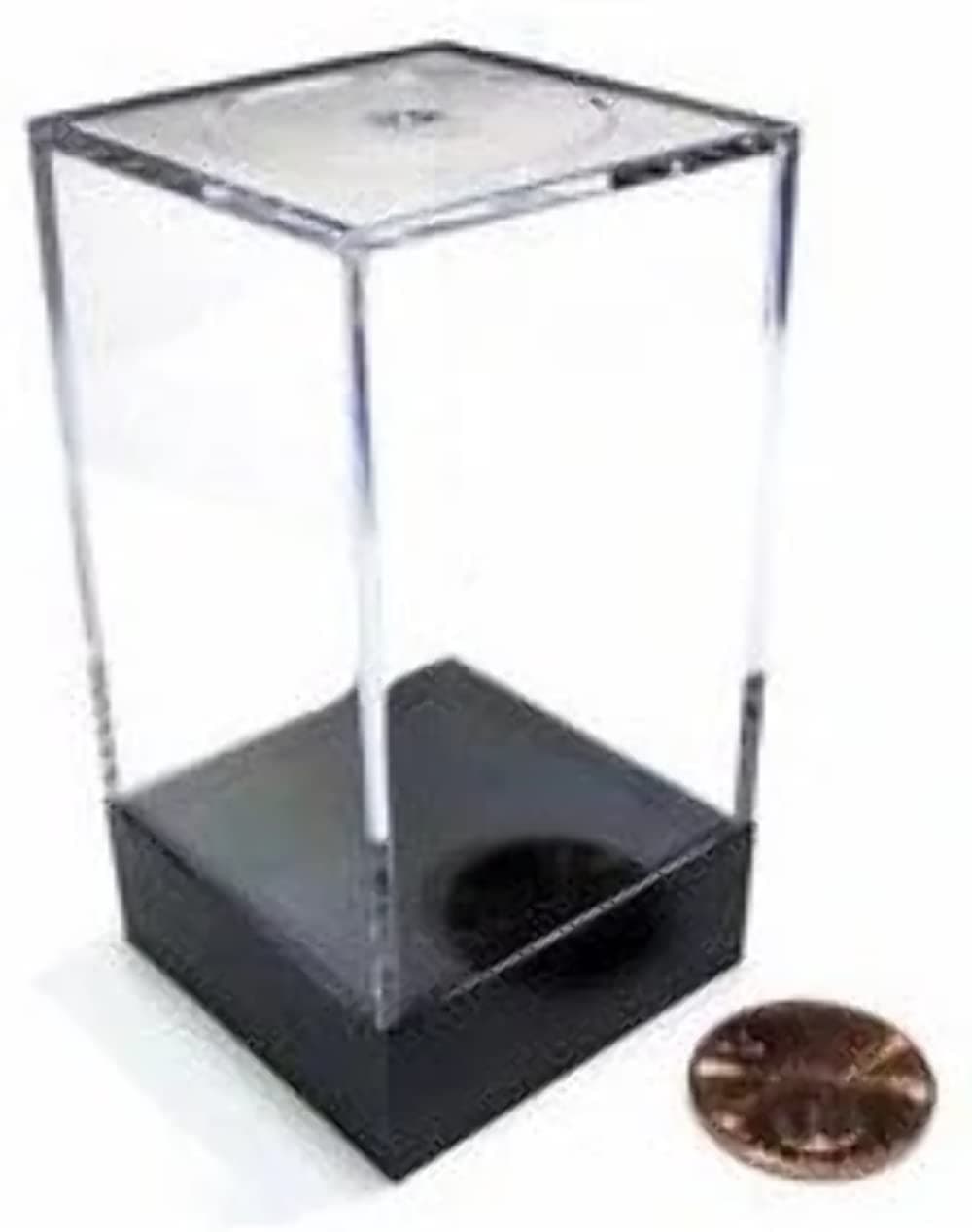 Chessex Medium Tall Black-Lidded Plastic Figure Display Box - DND D&D Miniatures