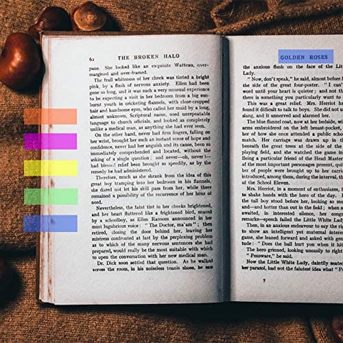 Neon Colored 3000 Piece Index Tabs, Fluorescent Stickers for Books (12 Sets, 2 Designs)